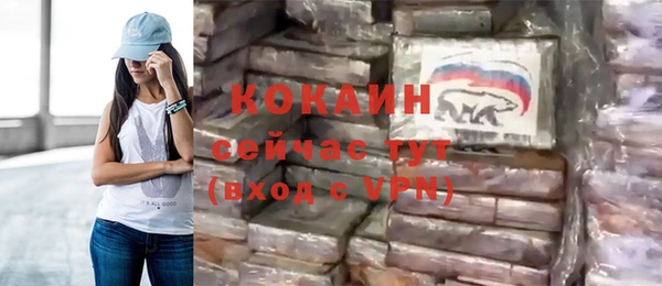 индика Краснотурьинск
