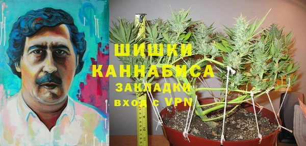 гидра Красноперекопск