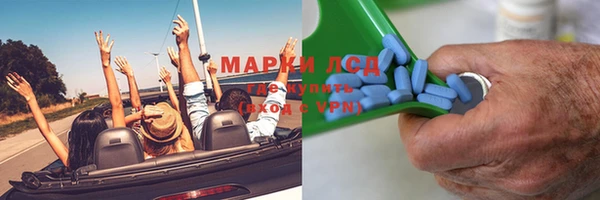 индика Краснотурьинск