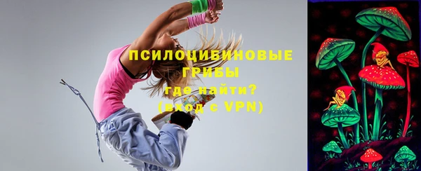 стафф Краснослободск