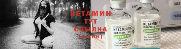 индика Краснотурьинск