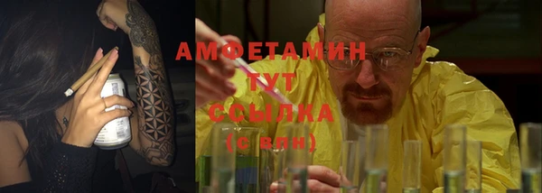 индика Краснотурьинск