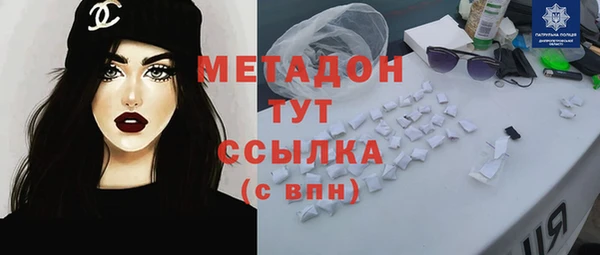 прущие грибы Мурманск