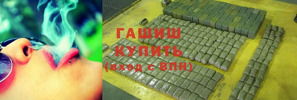 индика Краснотурьинск